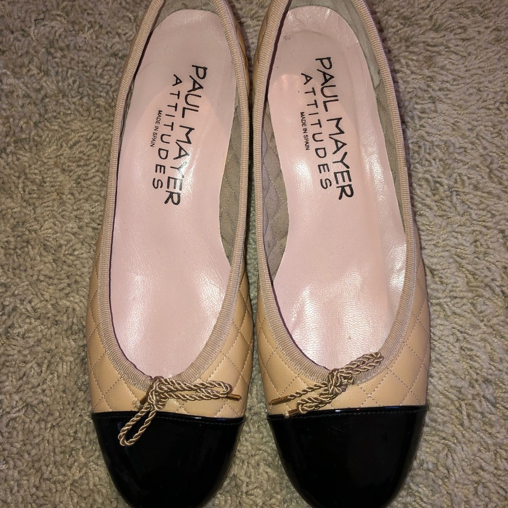 Paul Mayer heel